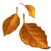 :fallen_leaf: :fallen_leaf: