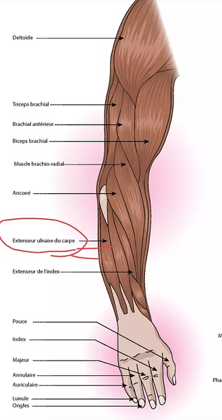 Screenshot_2025-10-22-19-16-04-13_680d03679600f7af0b4c700c6b270fe7