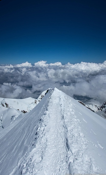 Screenshot_2026-02-22-20-50-37-679_com.android.chrome~3