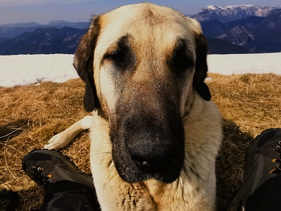 je veux un calin et un biscuit ...