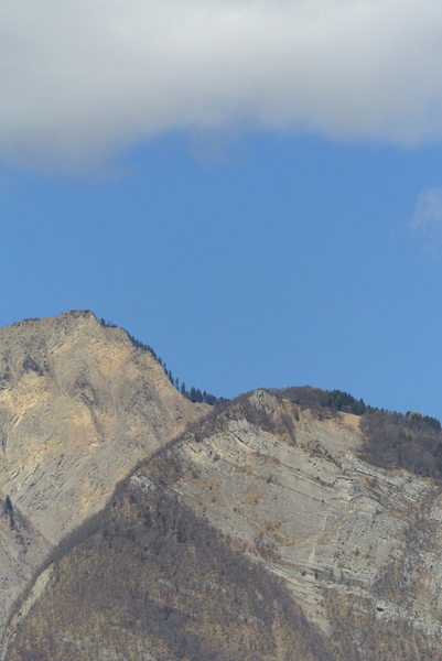 576990A2-E0E0-4F5A-9051-56B892C603CF