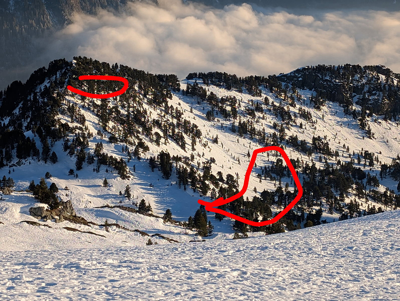 90322196242301078951