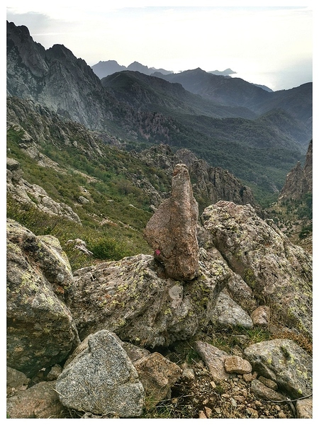 IMG_20250909_143411-01