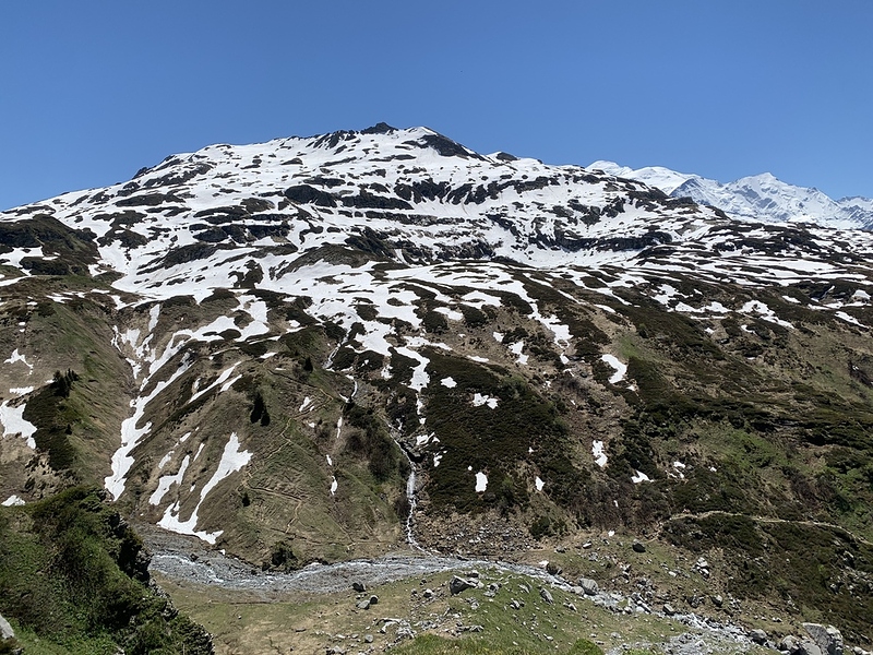 IMG_5205