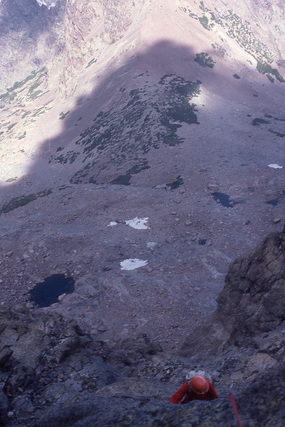 1981 07-08 726