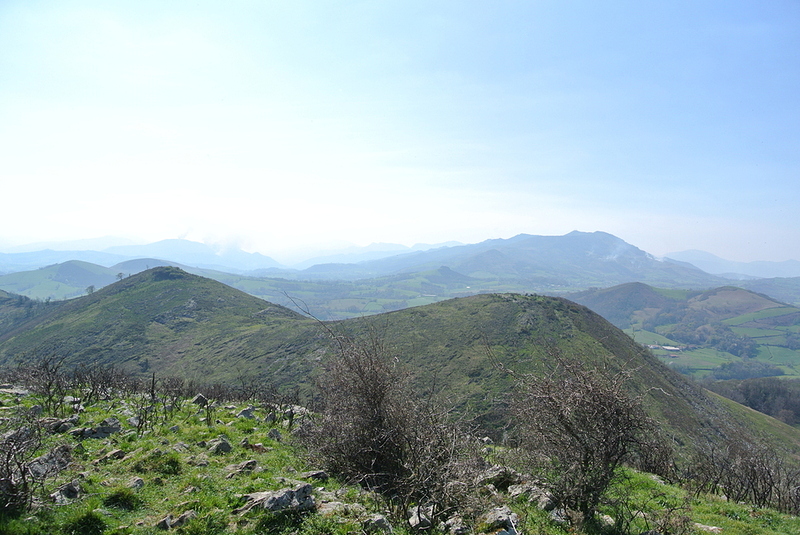 2410FEDC-8D96-45E8-B6AE-E01B2A631E3F