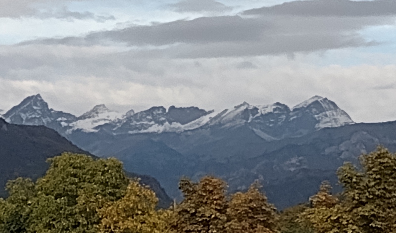 IMG_20261010_095739445