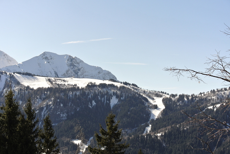 5599361D-C1D0-4FAC-AF69-371799EE0F83