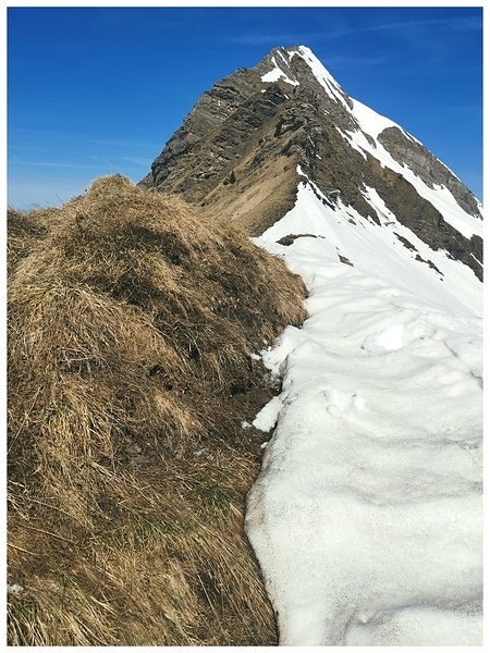 IMG_20260418_134612-01