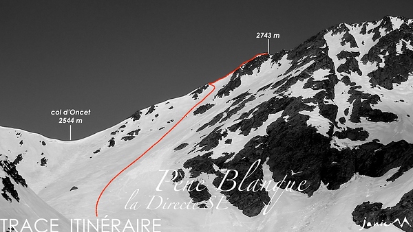 Pène Blanque direct SE 699