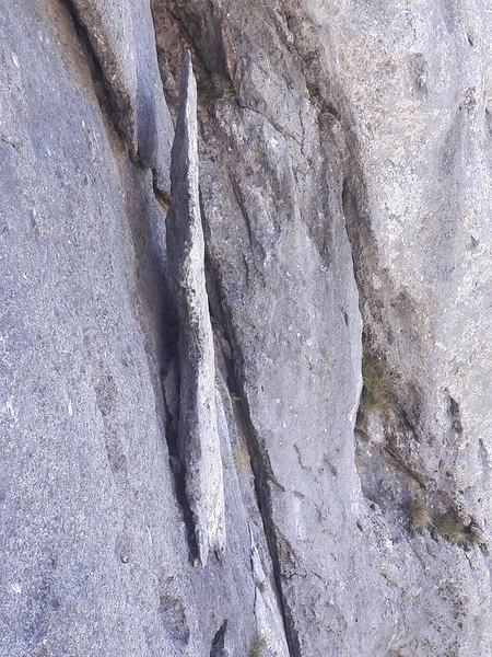 20200811_132901