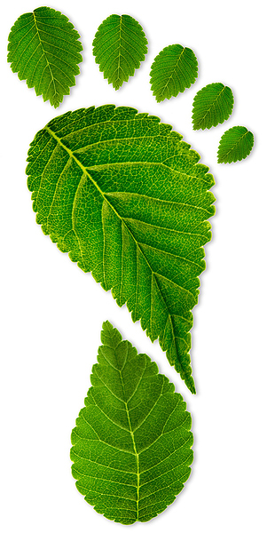 AdobeStock_78041608_mehka_mobilnost_600px