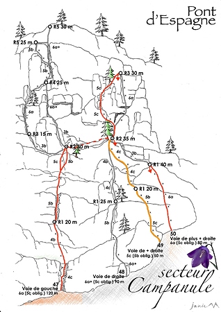 Pont d'Espagne Campanule - 47 48 50