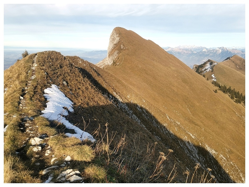 IMG_20251107_215519-01