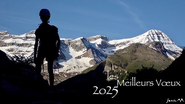Les Meilleurs Vœux 2025