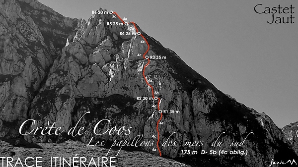 Crête de Coos - Les papillons des mers du sud - Trace Itinéraire
