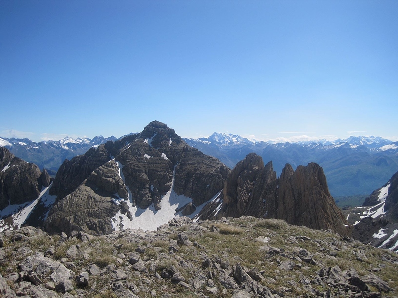 cepridou 1