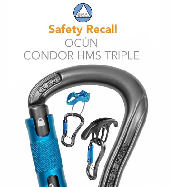 Capture d'écran 2026-03-31 080433