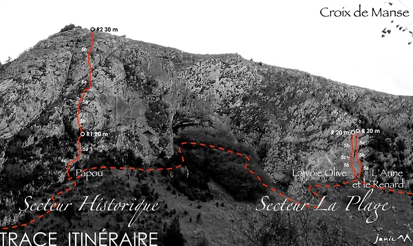 Tucou Historique La Plage