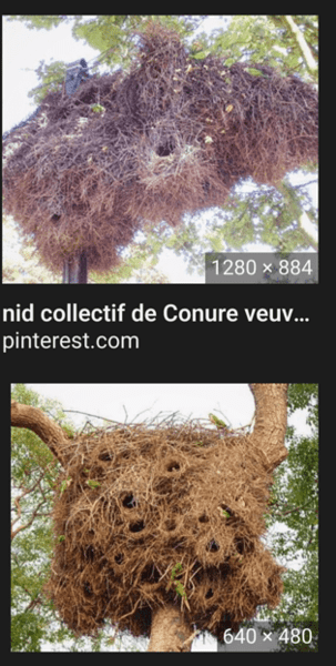 Screenshot_20231228_150802_Firefox