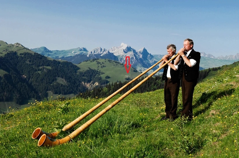 vmusik_alphorn1