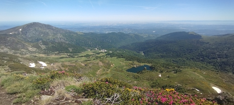 IMG_20260613_113743