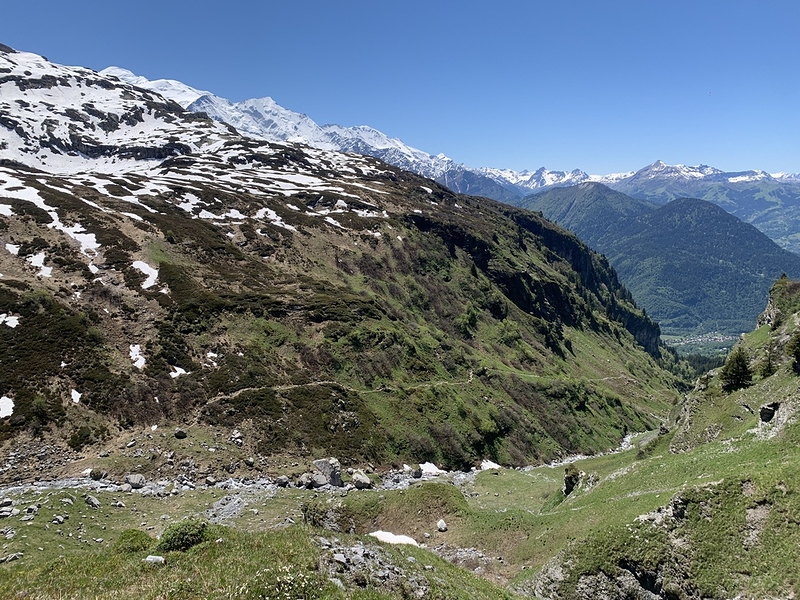 IMG_5204