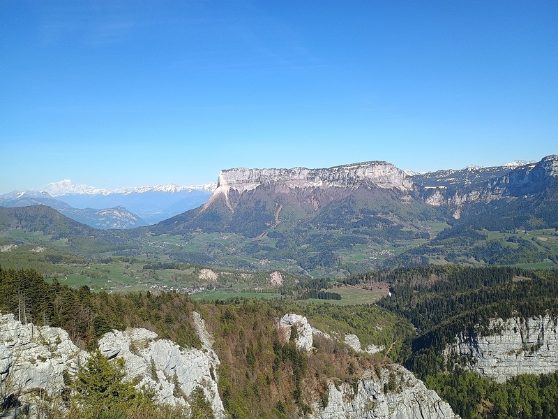 IMG_20260424_164338598