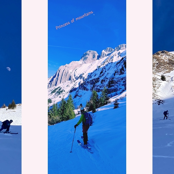 InCollage_20260225_171626334