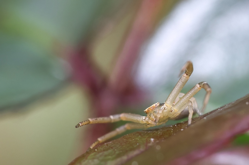 2S6A3915-topaz-denoise-sharpen