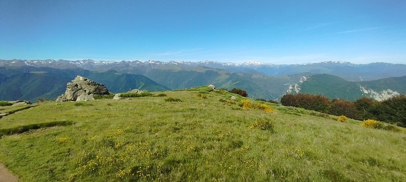 IMG_20260613_100457