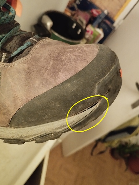 IMG_20250908_064228 (1)