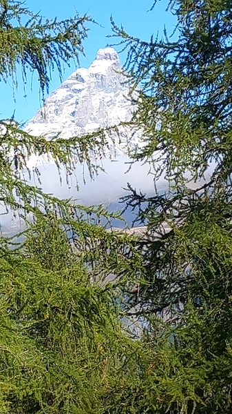 IMG-20251002-WA0001
