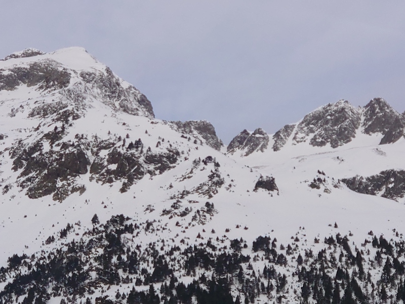 DSC_0007 (2026-01-12T16_56_35.051)