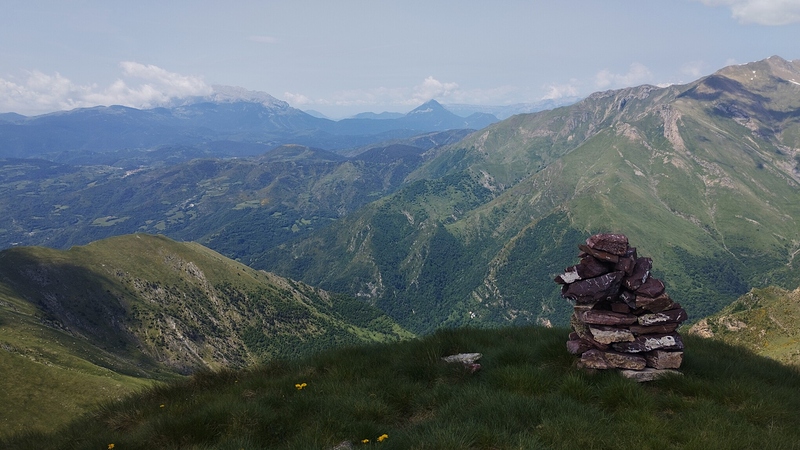 IMG_20250608_115538a