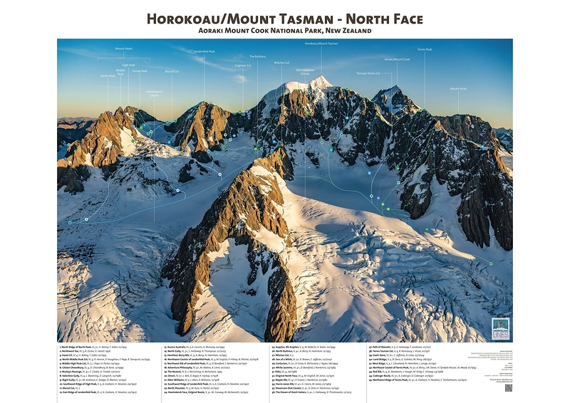 157 - tasman NF - gallery