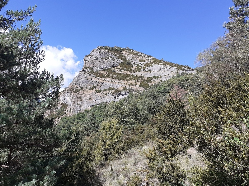 20210917_140315 - Copie