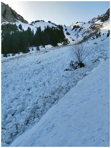 IMG_20260411_144738-01