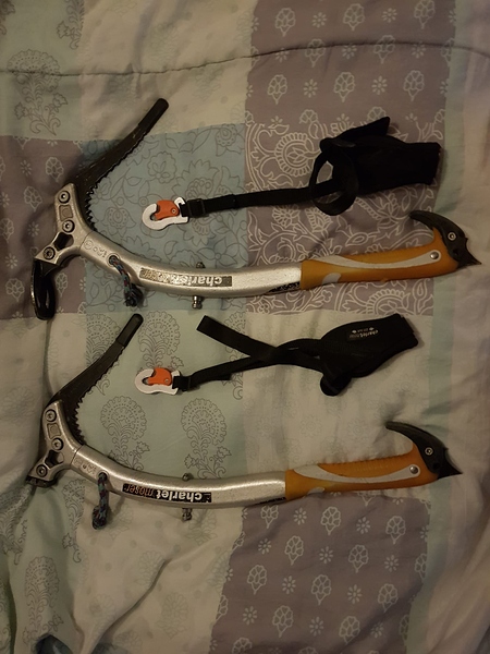 Quarks 2025-12-31 at 17.19.02