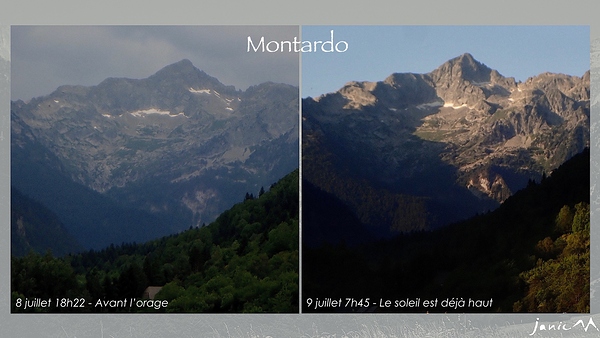 Montardo