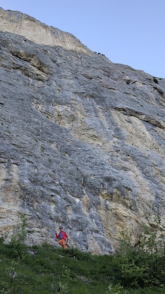 PXL_20260613_174449051