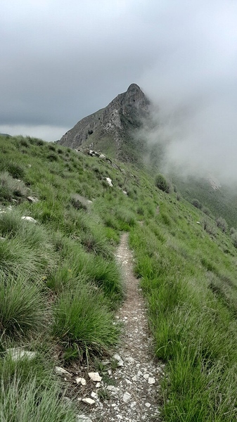 JDS_ezahhiazrzagezau