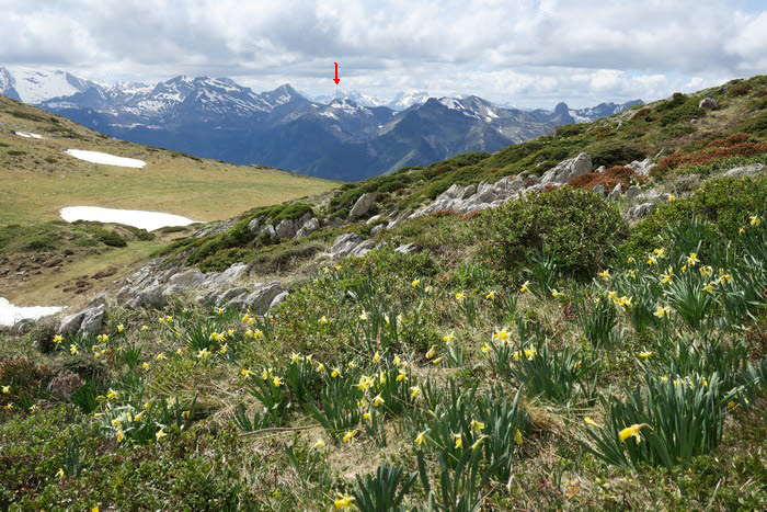 jeu sommet 16 mai