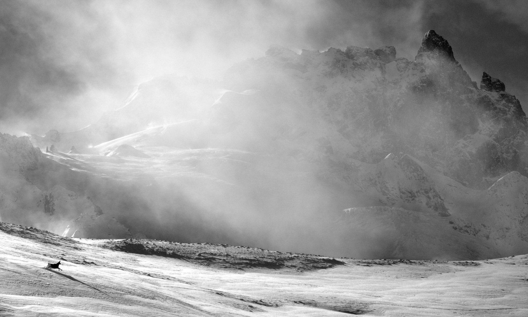 1760898273_1393875717