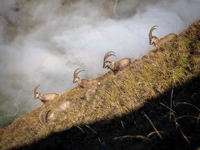 1760379489_1166973179