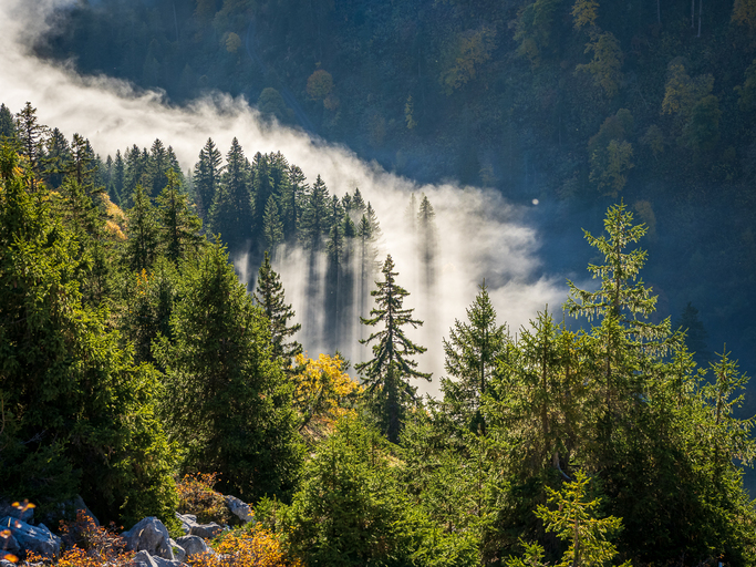 1760294458_2069514581