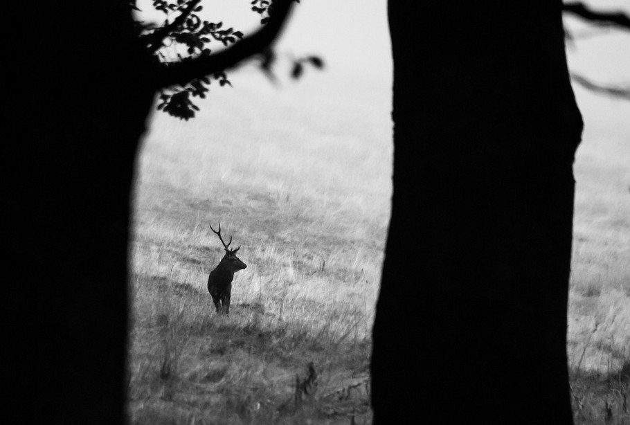 Capture d’écran 2025-10-29 190634