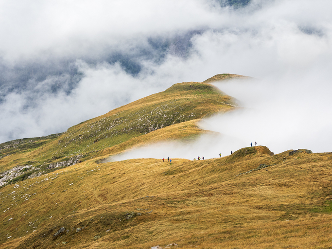 1757874395_943940055