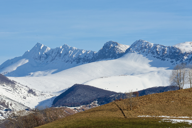 HUG_0781_DxO_250_2500