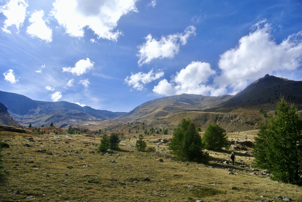 71B3C10B-32B0-4056-8211-7F6D0DAB8AD7_1_201_a